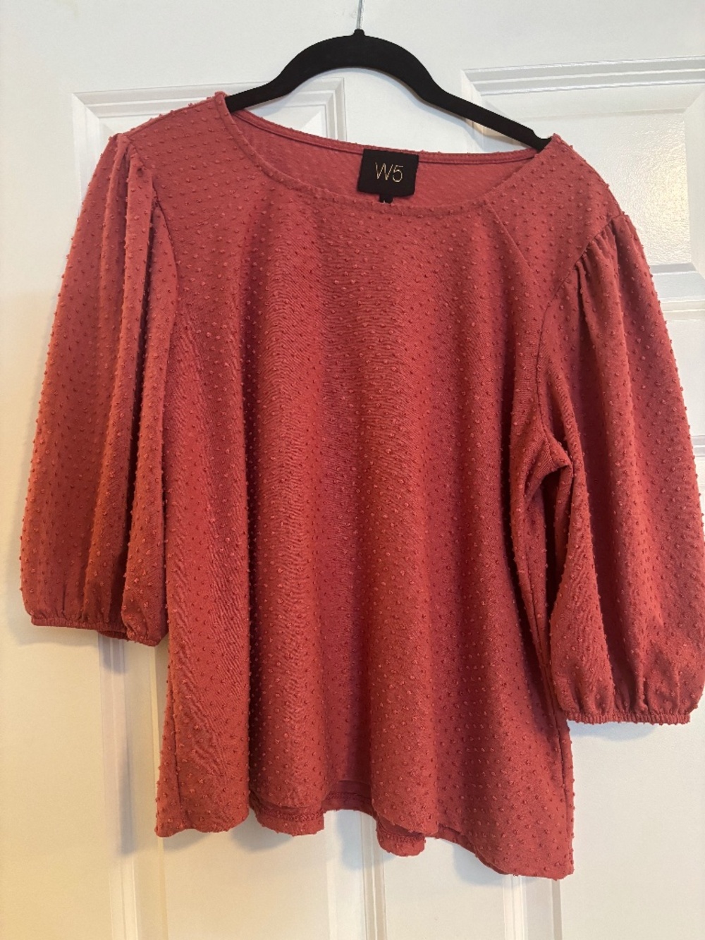 Pink dotted swiss puff sleeve top size L